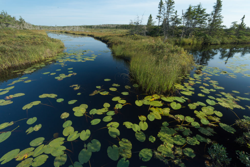 Nova Scotia Nature Trust – Land Conservation Program