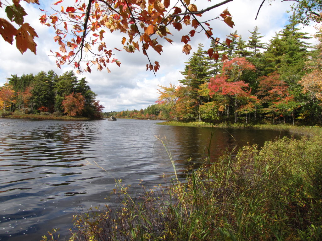 Nova Scotia Nature Trust – Ponhook Lake