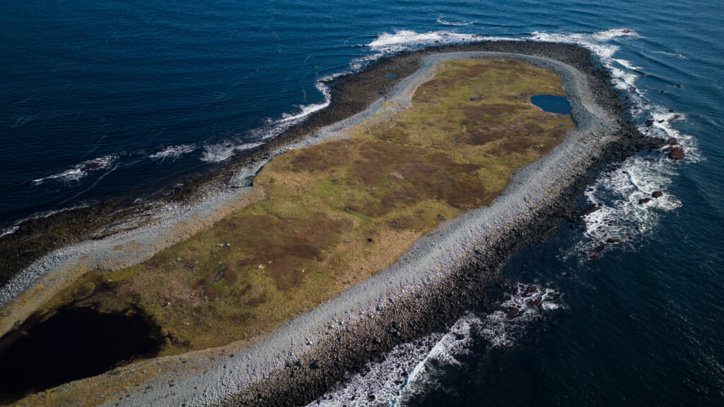 What is the Littoral Zone? – Bird Collective