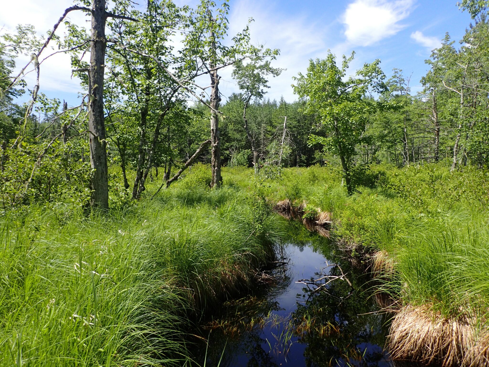 Nova Scotia Nature Trust – A Major Milestone for Nature: Seven newly ...