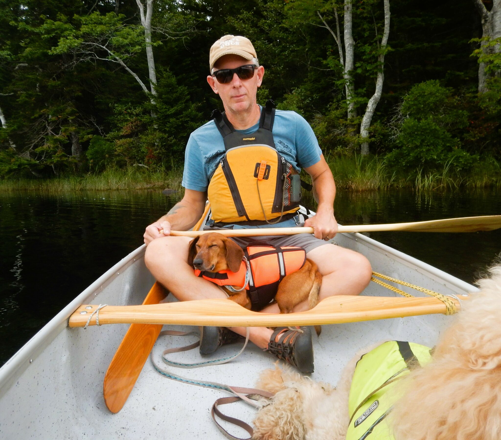 Nova Scotia Nature Trust – Dennis Edwards: Protecting our hemlocks ...