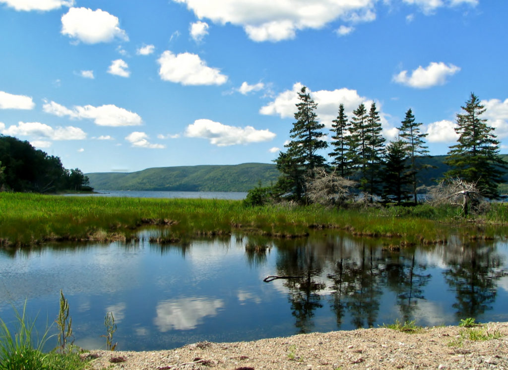 Nova Scotia Nature Trust – Nature Trust Protects Land, Fulfils Conservation  Dream in Cape Breton