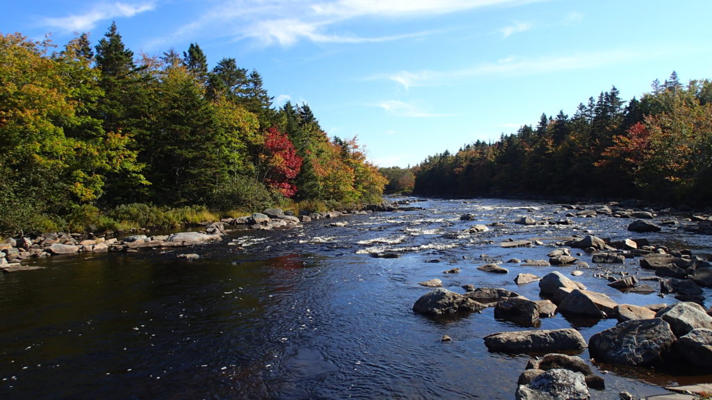 Enumerate Invitere Emuler Nova Scotia Nature Trust – Headwaters to Headlands: New Nature Trust  Property Connects Land and Sea