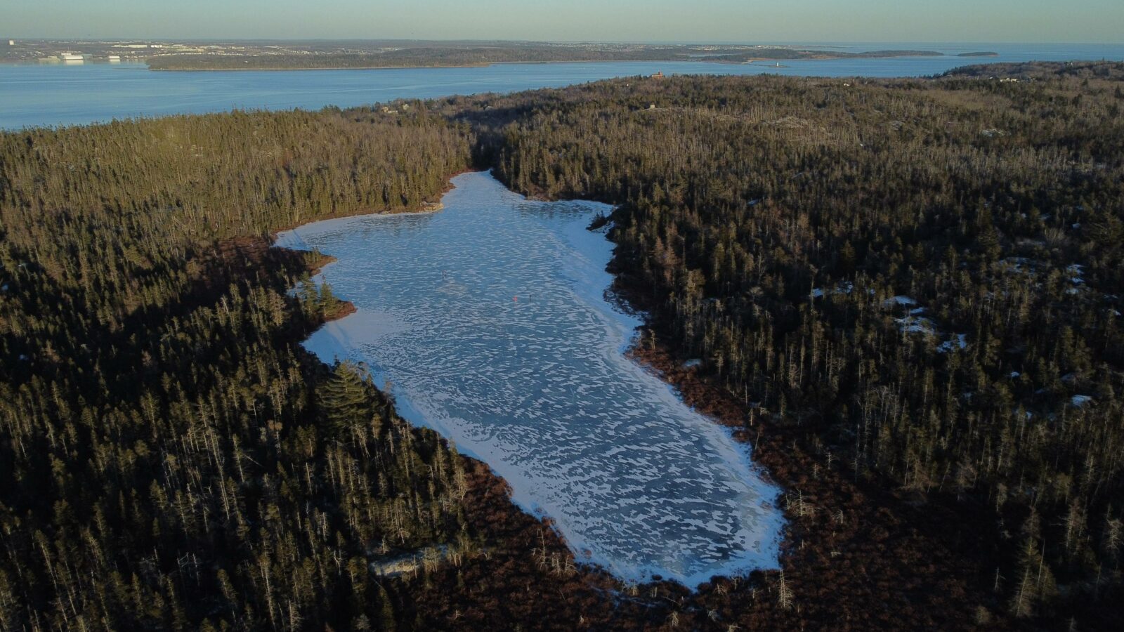 Nova Scotia Nature Trust – Blanding’s and Backlands get the big boost ...