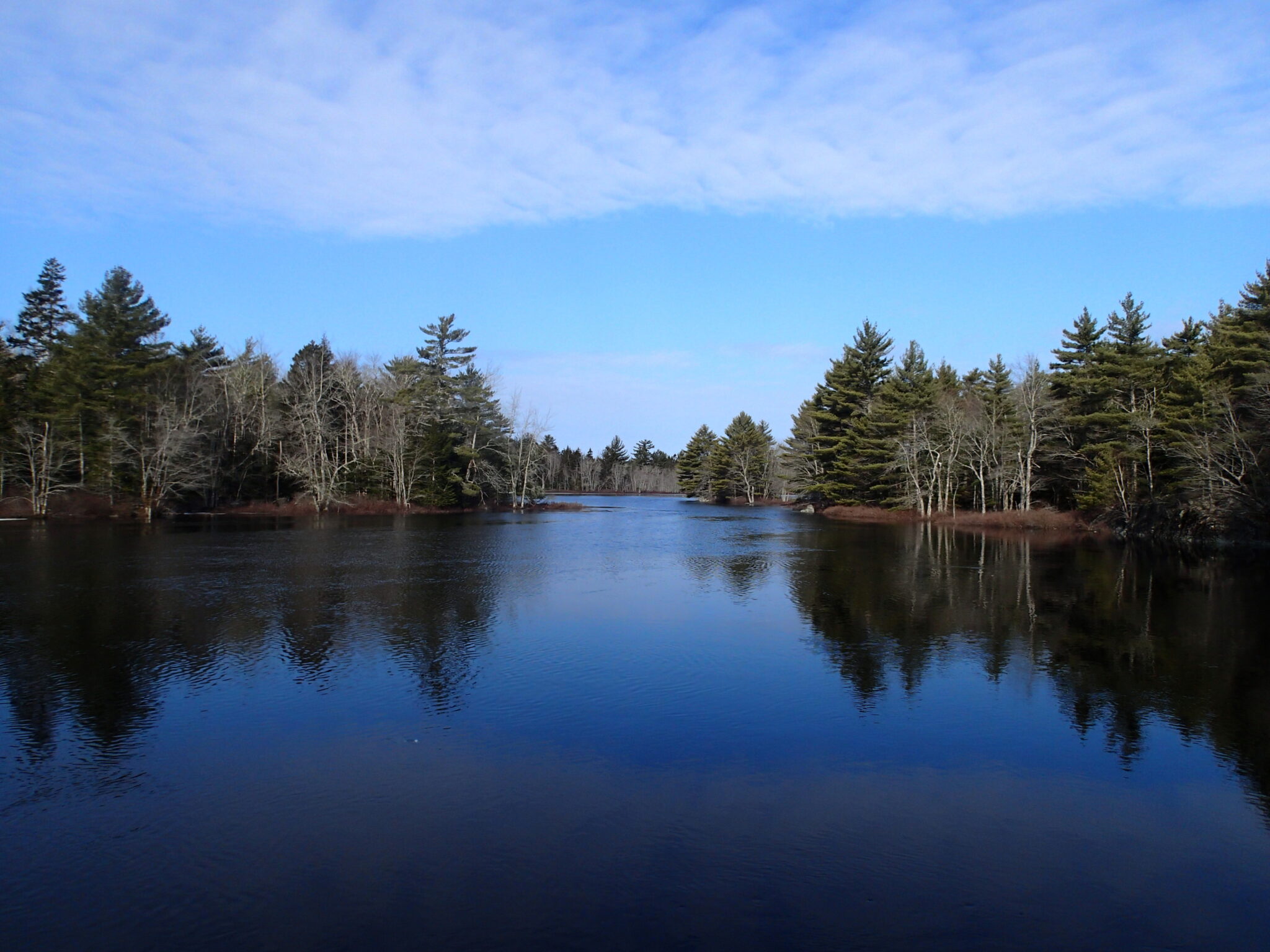 Nova Scotia Nature Trust – A Major Milestone for Nature: Seven newly ...