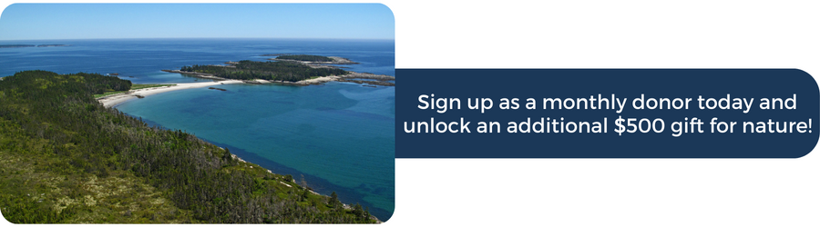 Sign up as a monthly donor today and unlock an additional $500 gift for nature!